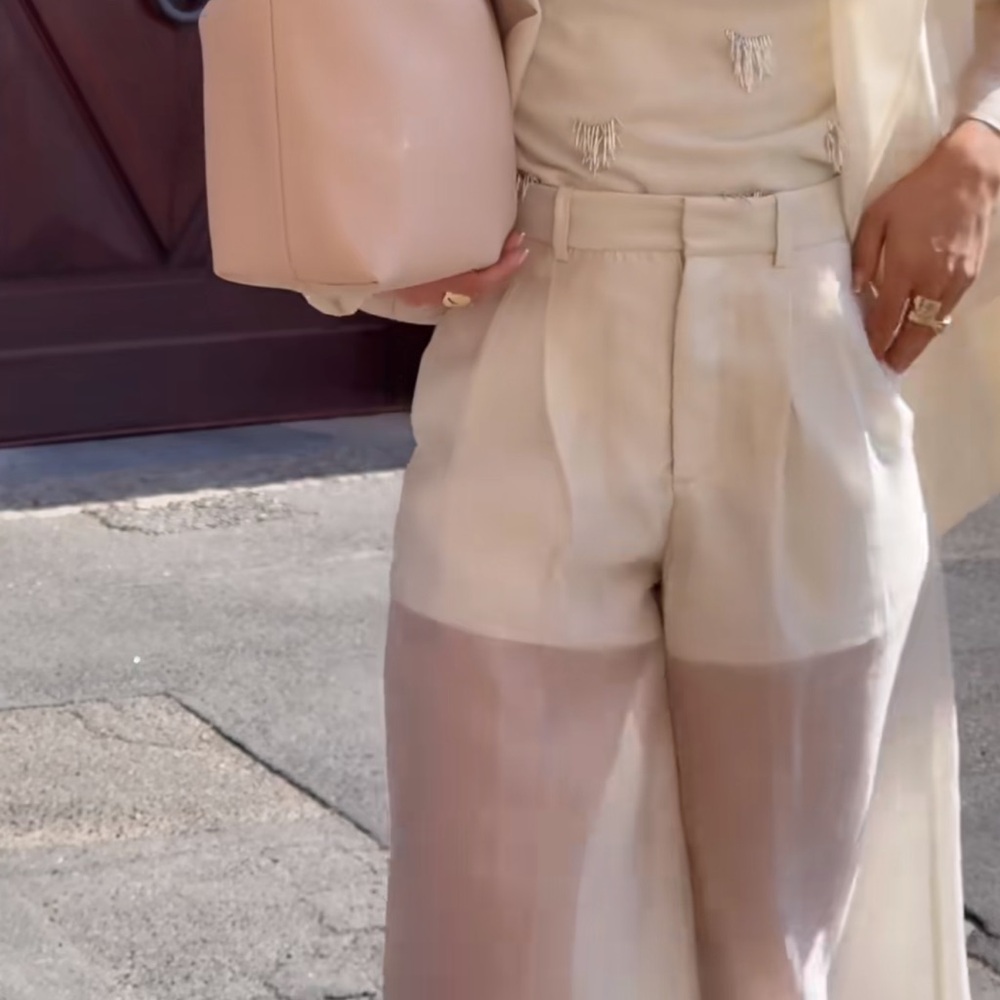 H&M EDITION WIDE-LEG SHEER PANTS - Picture 14 of 14